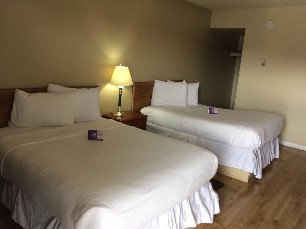 Nice Inn אדמונטון מראה חיצוני תמונה